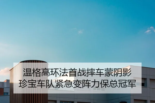 wen-ge-gao-huan-fa-shou-zhan-shuai-che-meng-yin-ying-zhen-bao-che-dui-jin-ji-bian-zhen-li-bao-zong-guan-jun-2-345.jpg